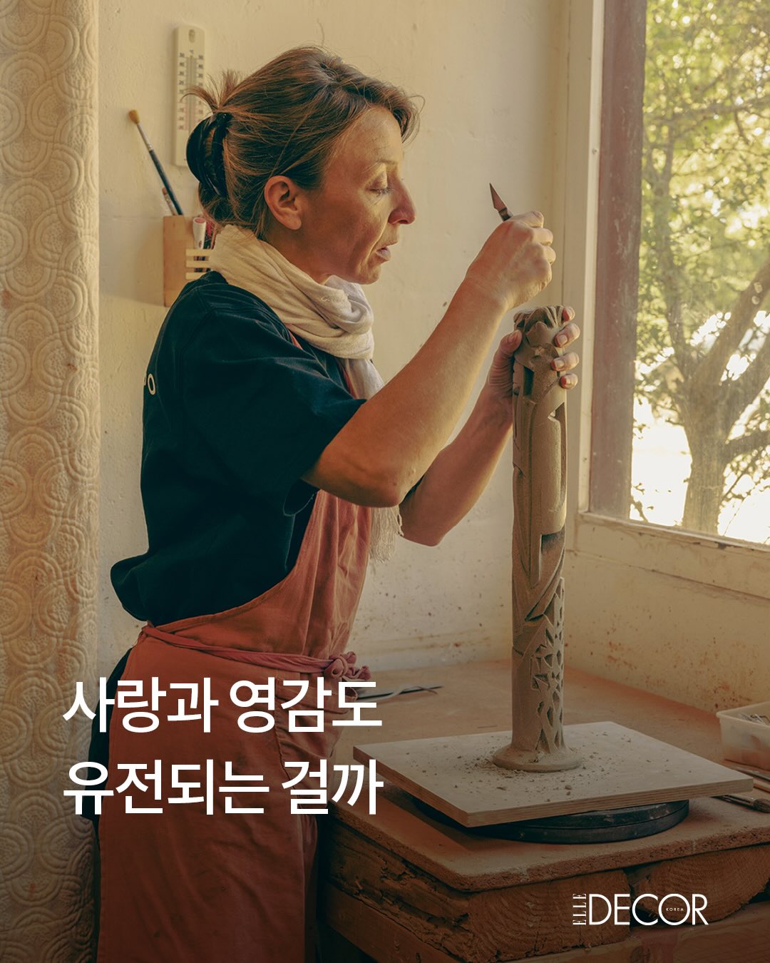 샤포