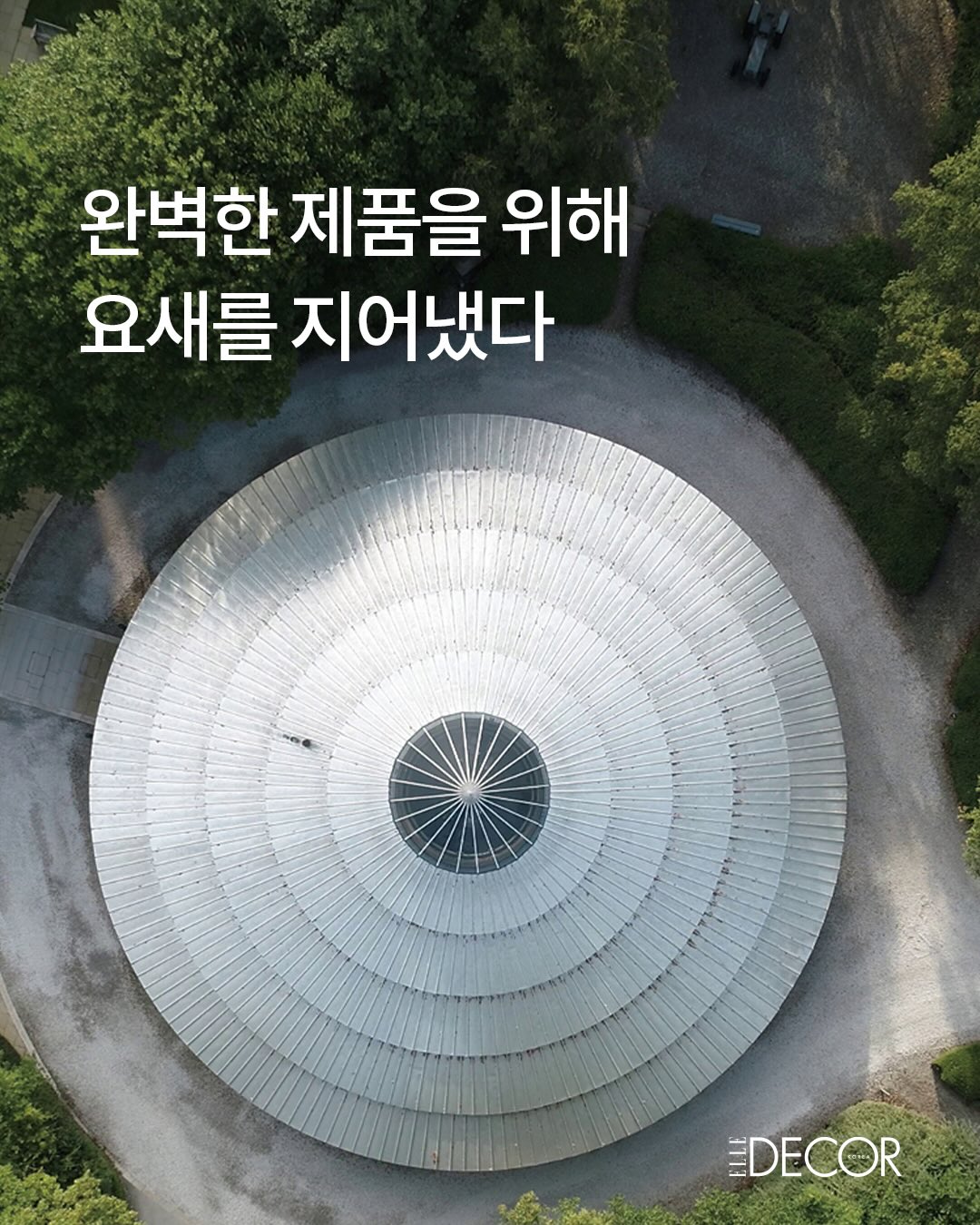 커트러리의 왕